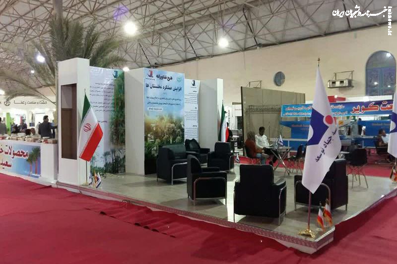 بررسی اهداف طرح افزایش فناورانه عملکرد نخلستان‌های کشور