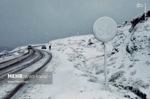 تصاویر| بارش اولین برف پاییزی در همدان