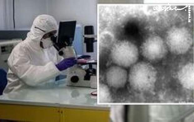 پاسخ به شایعه| تکذیب انتشار ویروس جدیدی در کشور