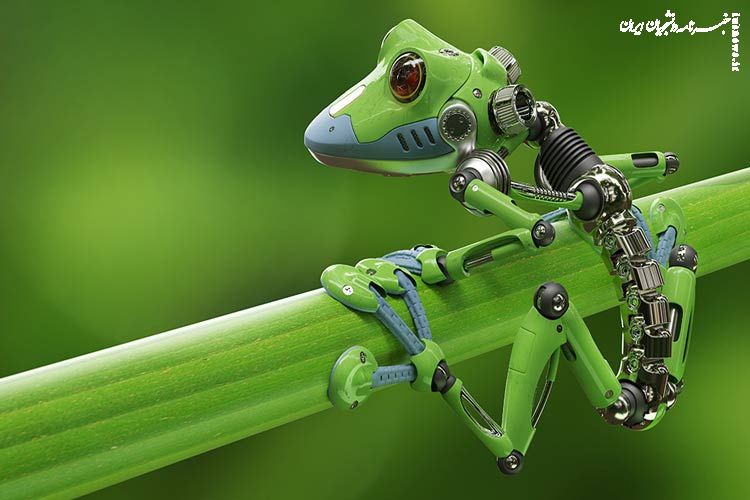 ساخت اولین ربات زنده جهان