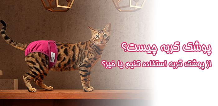 از پوشک گربه استفاده کنیم یا خیر؟