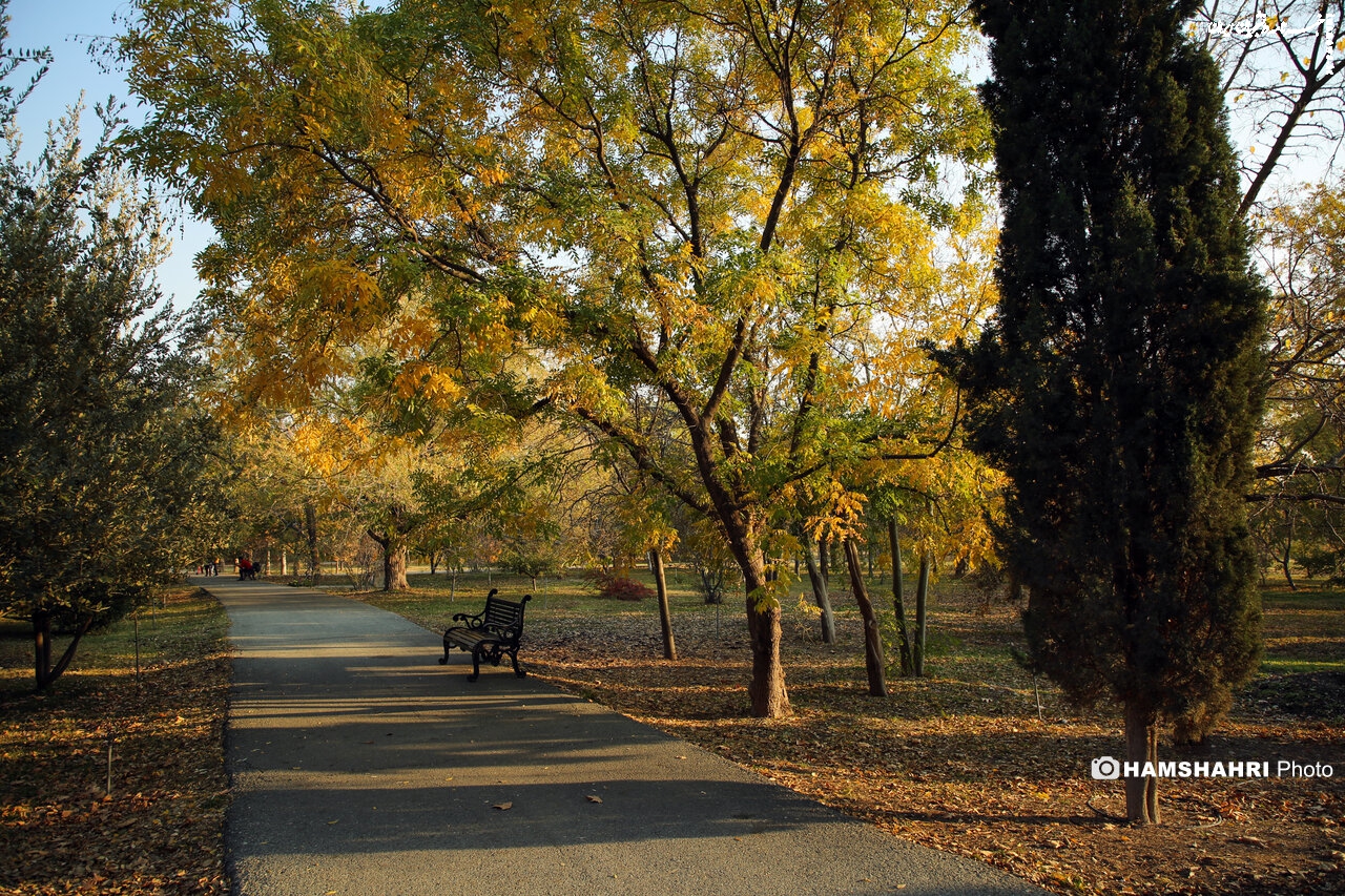 چرا پاییز امسال هوا گرم است؟