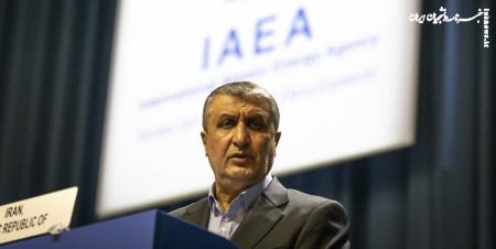Iran’s Nuclear Chief Rejects IAEA’s Claim over Inspectors