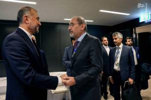 تصاویر| دیدار امیرعبداللهیان با وزیر خارجه کویت و اردن