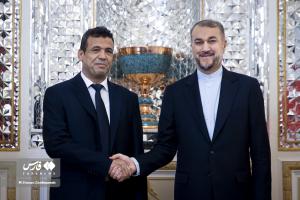 تصاویر| دیدار امیرعبداللهیان با معاون نخست وزیر لیبی