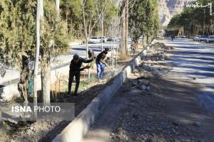 گلزار شهدا کرمان در آستانه سالگرد شهید سلیمانی  +عکس