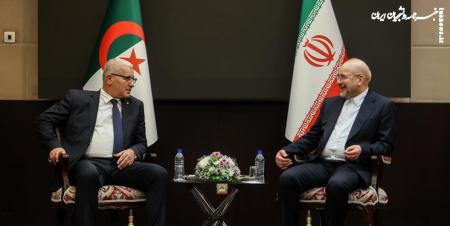قالیباف در دیدار رئیس مجلس الجزایر: کشورهای اسلامی از همه ظرفیت‌هایشان برای حمایت از ملت فلسطین استفاده کنند