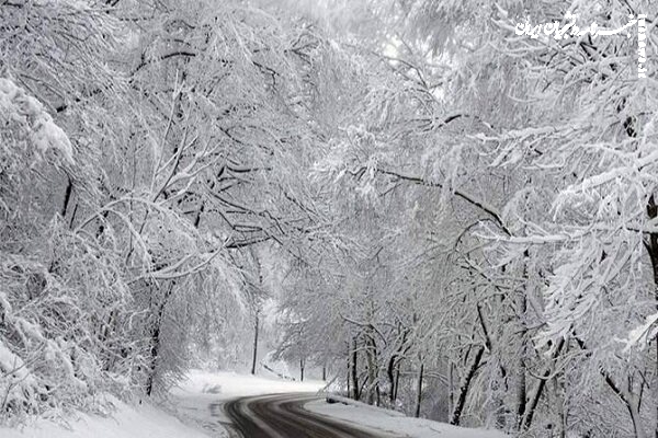 راهکارهایی که به از بین بردن خجالت و کمرویی کمک می‌کند