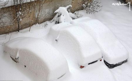 برف سنگین در اردبیل +عکس