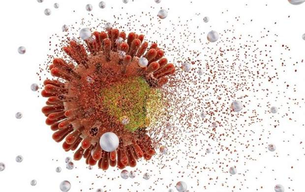 جزئیاتی درباره سویه جدید کرونا