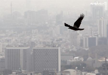هوای تهران همچنان آلوده است