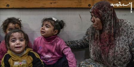بلژیک خواستار توقف تراژدی انسانی در غزه شد