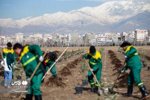 آیین کاشت ۲۴۰۰۰ نهال به یاد شهدا +عکس