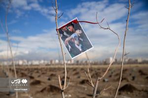 آیین کاشت ۲۴۰۰۰ نهال به یاد شهدا +عکس