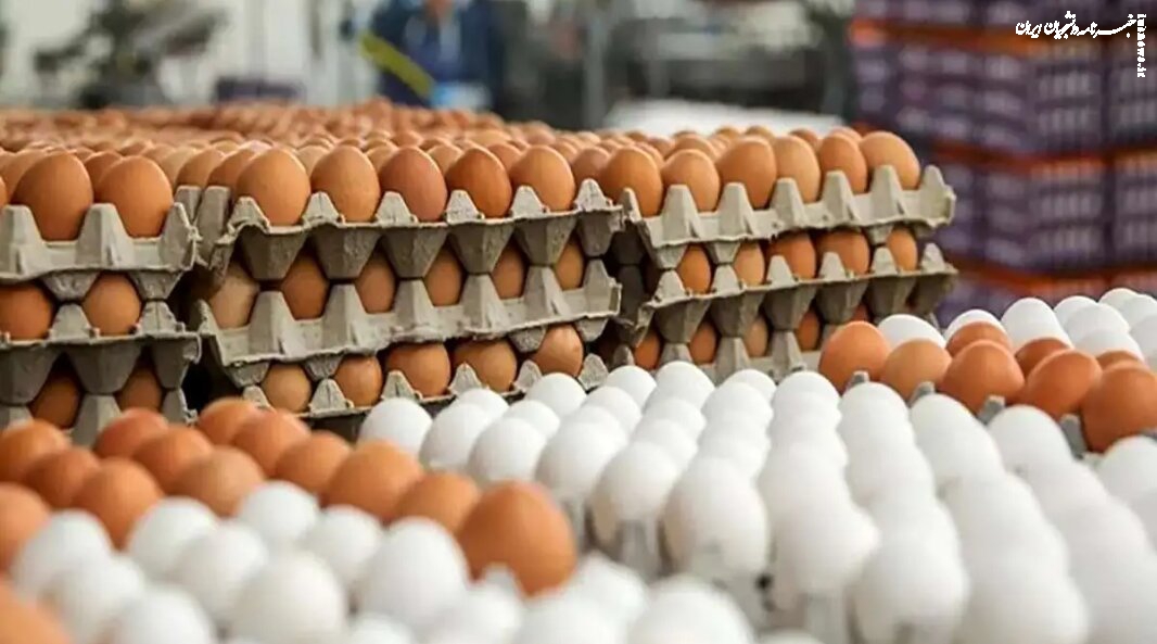 قیمت تخم مرغ در بازار تهران به کجا رسید؟