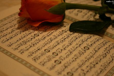 ۸۵ درصد حافظان کل‌ قرآن کشور بانوان هستند