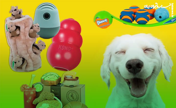 آشنایی با انواع اسباب بازی سگ و گربه