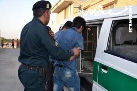  عاملان پرتاب نارنجک به سمت ماموران پلیس در چهارشنبه سوری بازداشت شدند