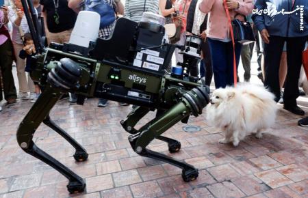 سگ رباتیک در اسپانیا گشت زنی کرد