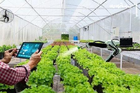 ساخت پلتفرم یکپارچه هوشمندسازی کشاورزی توسط فناوران ایرانی