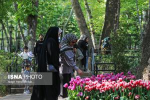 فصل لاله ها در باغ ایرانی +عکس