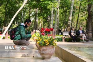 فصل لاله ها در باغ ایرانی +عکس