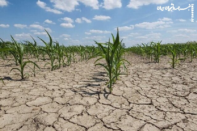 بارش‌های اخیر شدت خشکسالی را کاهش نداد 