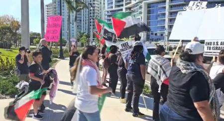 Protesters gather in Florida in support of Palestine + video