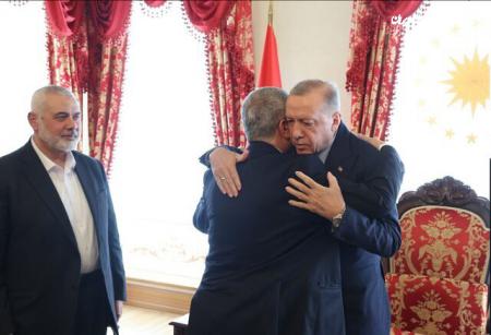  جزئیات دیدار اردوغان و هنیه