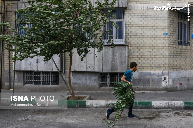  وزش باد شدید و رگبار باران در تهران