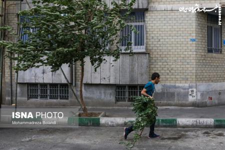  وزش باد شدید و رگبار باران در تهران