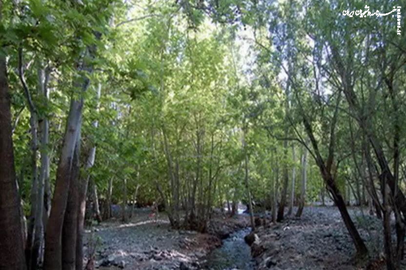 ۷ جاذبه دیدنی که شما را به سبزوار می‌کشاند