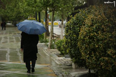 آسمان کشور تا هفته آینده بارانی است +جزئیات