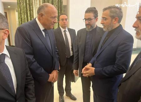 Egyptian FM meets Bagheri Kani on first Iran visit