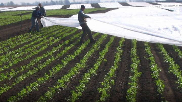 کشاورزان مراقب محصولات خود باشند/ هشدار تخریب محصولات کشاورزی به ۱۶ استان