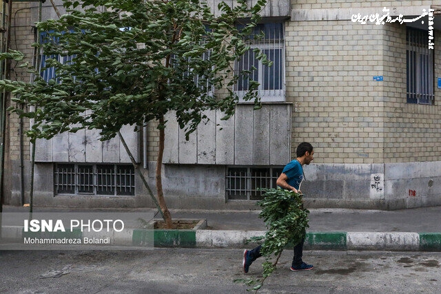 هشدار مدیریت بحران برای وزش باد شدید در تهران