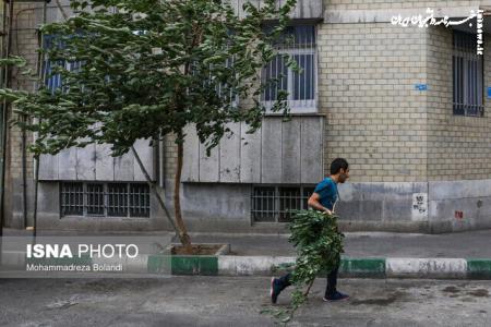 هشدار مدیریت بحران برای وزش باد شدید در تهران
