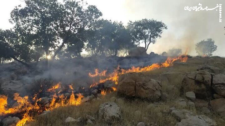 مهار آتش‌سوزی در بخشی از جنگل‌های پلدختر