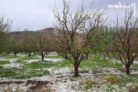 خسارت ۹ هزار میلیارد ریالی سیل و تگرگ در آذربایجان‌ شرقی