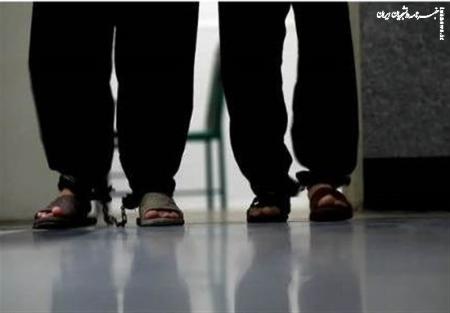 «شوک» جدید در راه آنتن شبکه سه