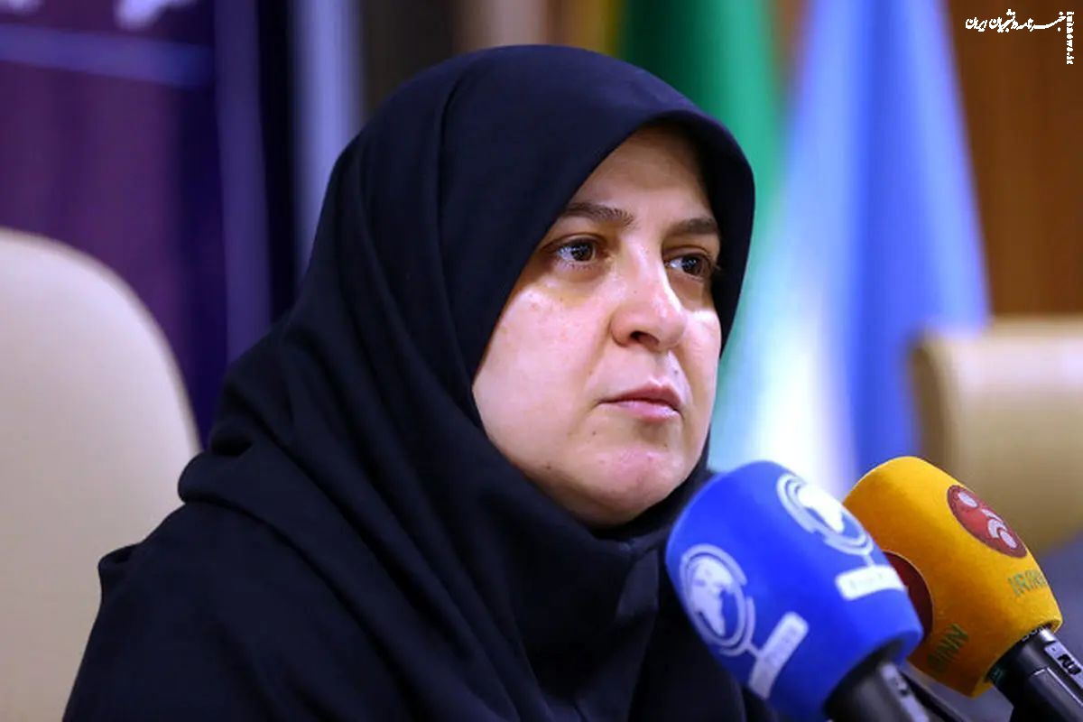 واکنش سخنگوی دولت به اعلام جرم دادستانی علیه انتشار یک کاریکاتور