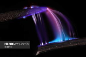 برندگان مسابقه عکس میکروسکوپی در سال ۲۰۲۴ +عکس