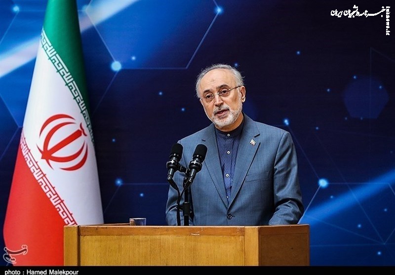 صالحی: اسرائیل به تنهایی توان مقابله با مقاومت را ندارد