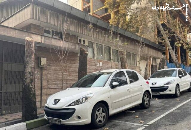 ورود دادستانی به موضوع قطع چند درخت در خیابان فرشته تهران