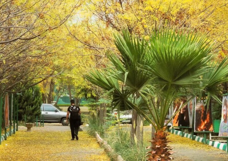 پشت پرده اخراج دانشجویان؛ هیاهوی سیاسی فقط برای یک دانشجو