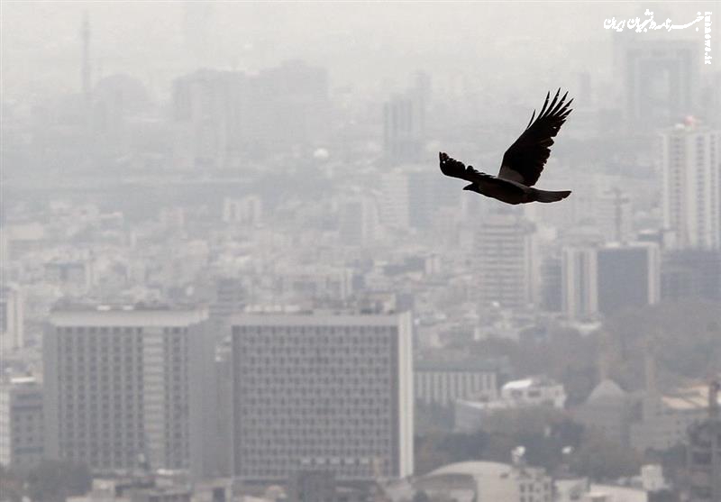  ۴ سناریو برای ساماندهی تهران 