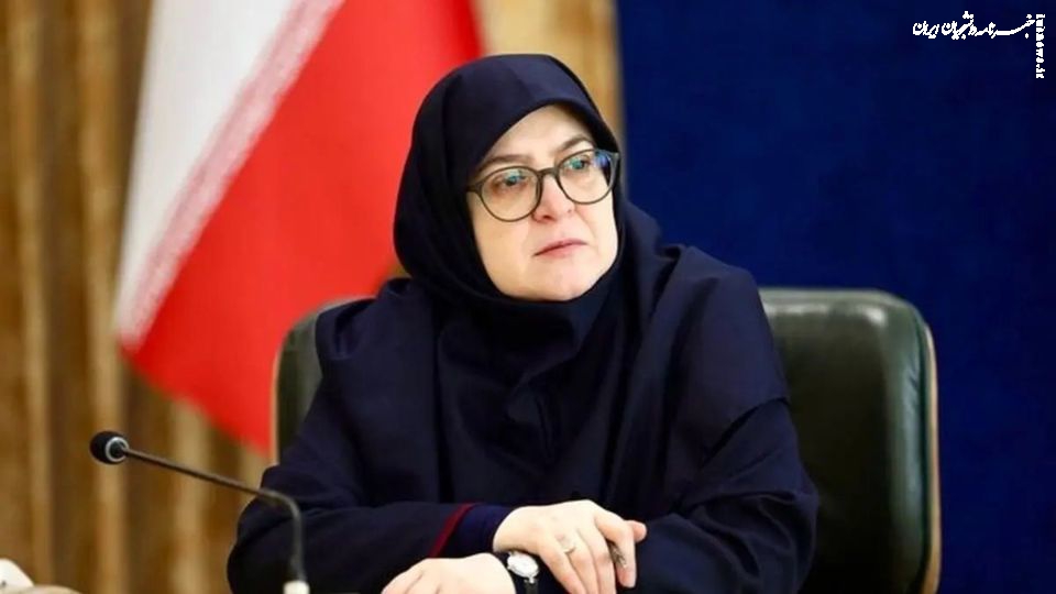 مهاجرانی: مذاکرات با کشورهای اروپایی ادامه خواهد داشت
