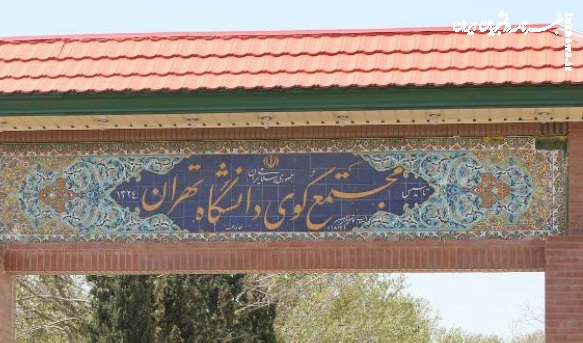 تجمع تعدادی از دانشجویان در کوی دانشگاه تهران در واکنش به قتل یک دانشجو 