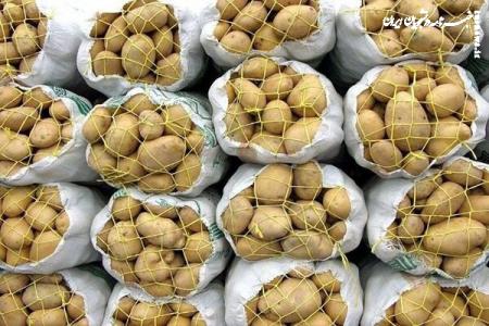 بازار سیب‌زمینی هفته آینده متعادل می‌شود