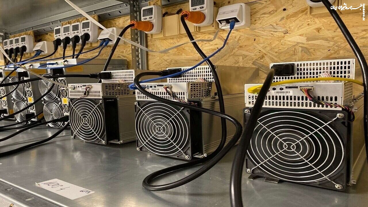 پاداش ۵۰ میلیونی برای گزارش این متخلفان